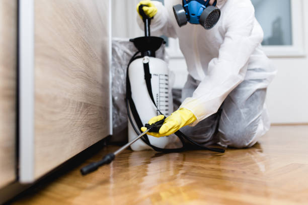 Best Wasp Removal Services  in Wd, AR