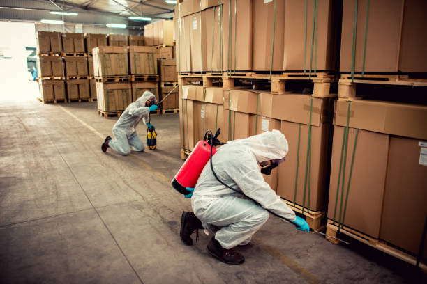Best Cockroach Control Services  in Wd, AR