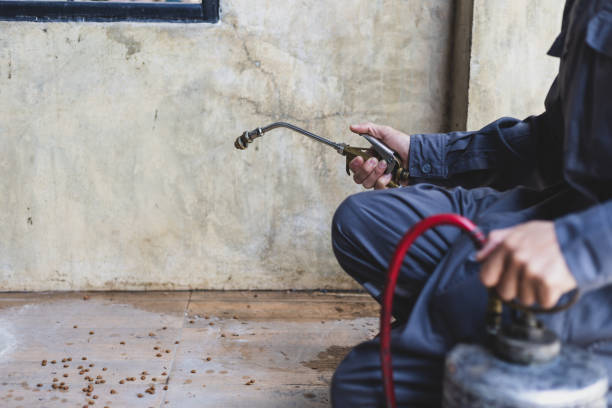 Best Pest Control for Homes  in Wd, AR